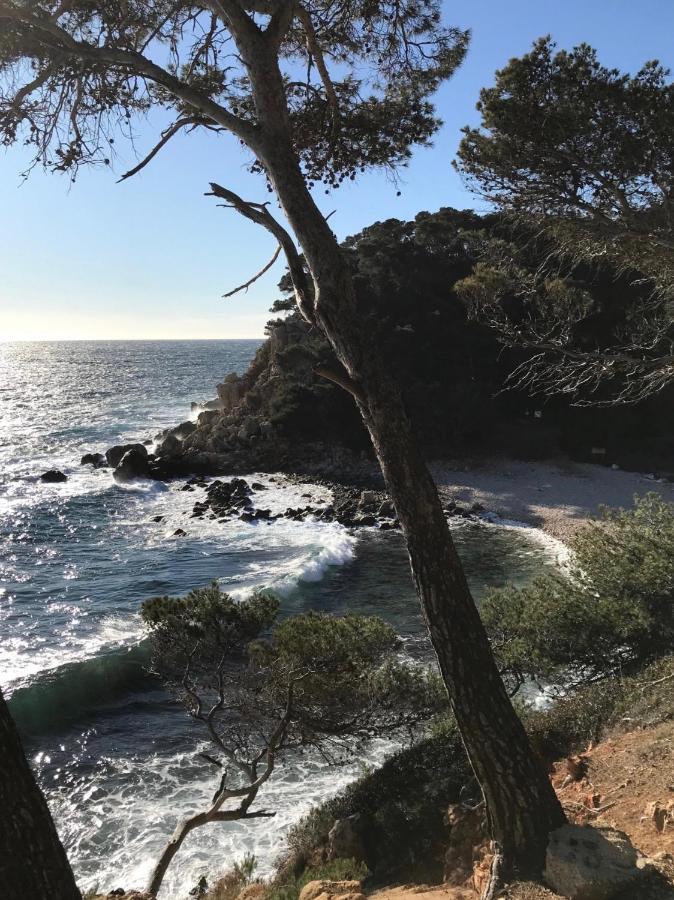 Villa Lucienne Bandol , T2 4 Etoiles Avec Garage, Dans Les Calanques Экстерьер фото